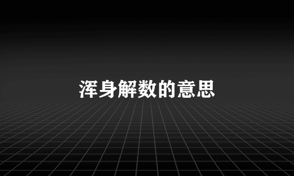 浑身解数的意思