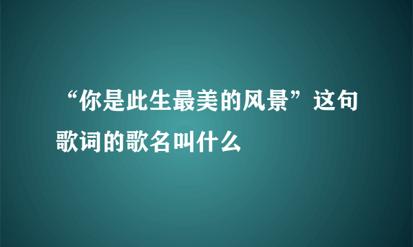 “你是此生最美的风景”这句歌词的歌名叫什么