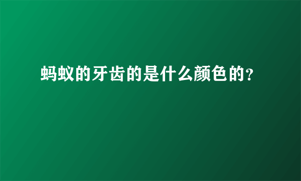 蚂蚁的牙齿的是什么颜色的？