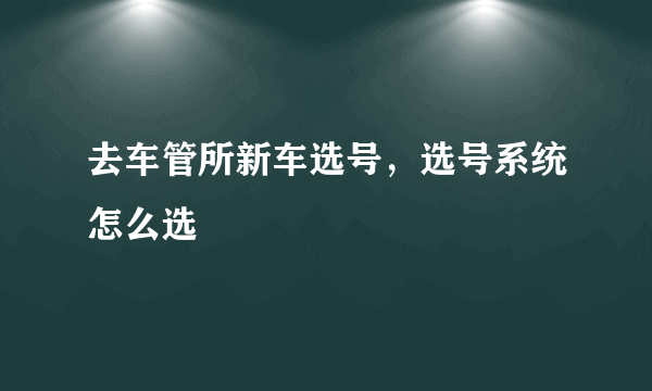 去车管所新车选号，选号系统怎么选