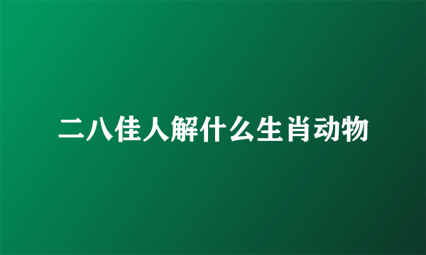 二八佳人解什么生肖动物