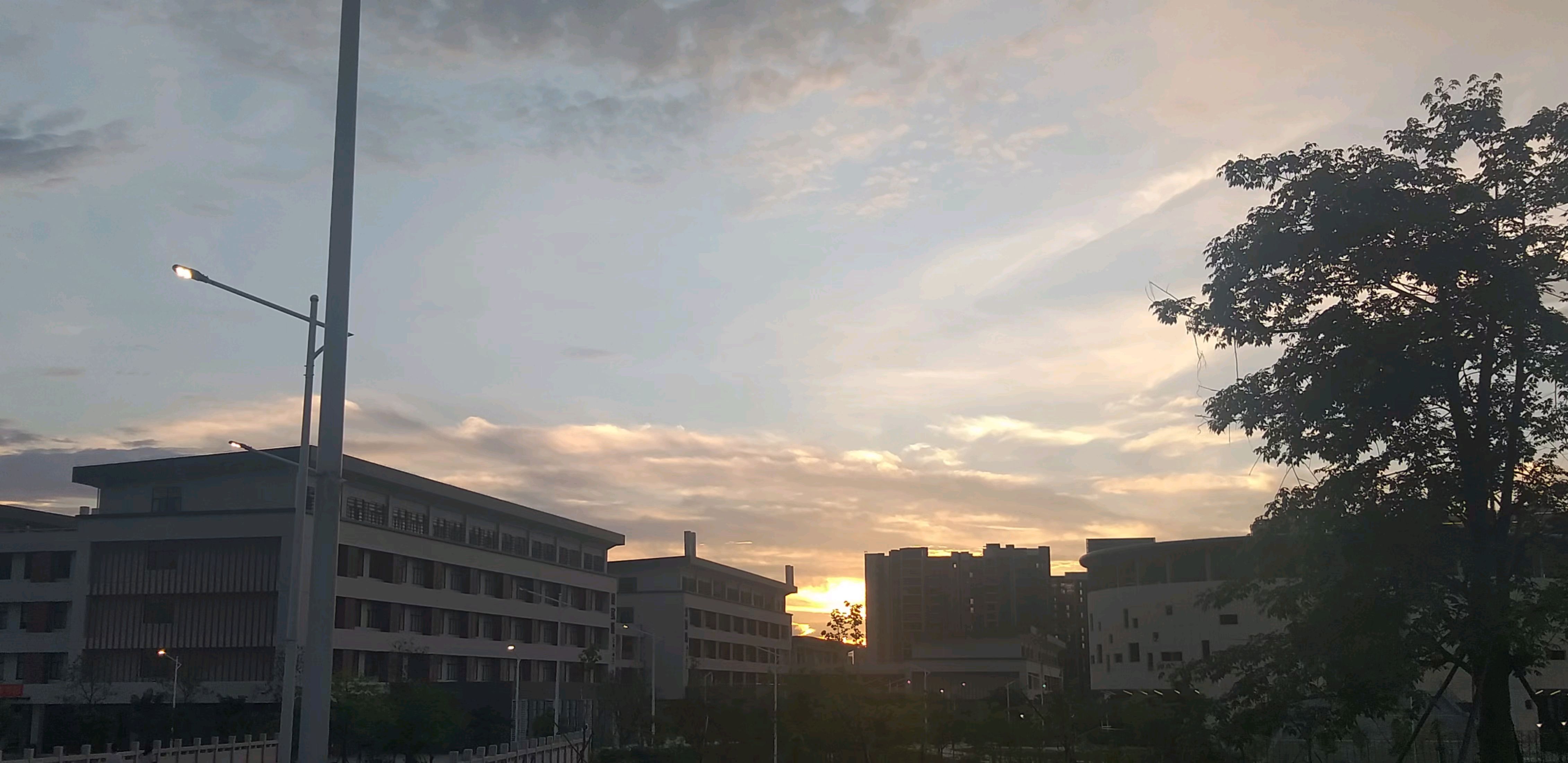 为什么要读大学