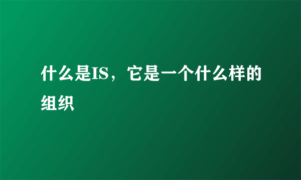 什么是IS，它是一个什么样的组织