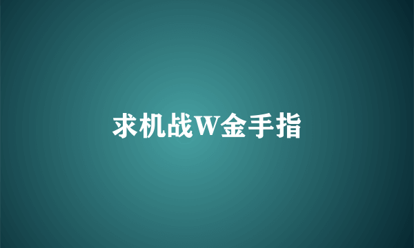 求机战W金手指