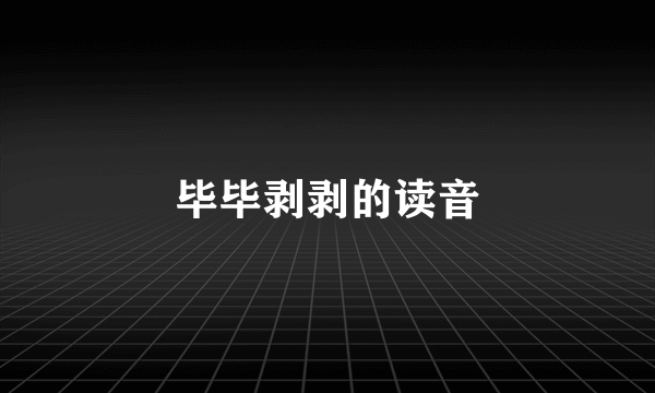 毕毕剥剥的读音