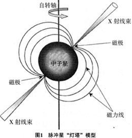 什么是白矮星和中子星？