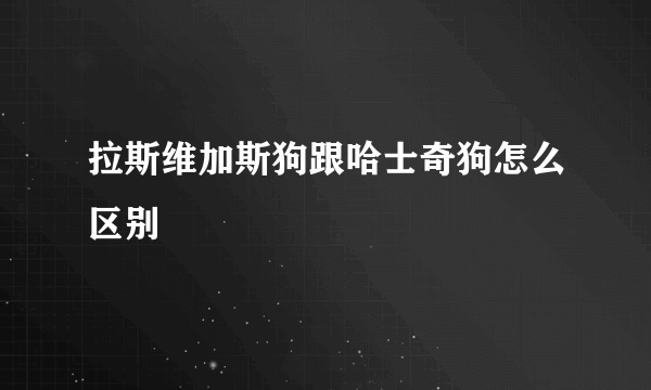 拉斯维加斯狗跟哈士奇狗怎么区别