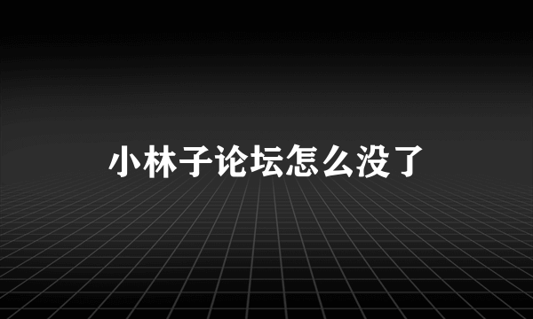 小林子论坛怎么没了