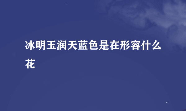 冰明玉润天蓝色是在形容什么花