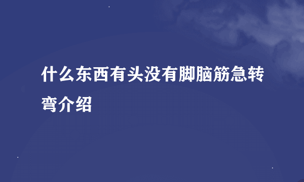 什么东西有头没有脚脑筋急转弯介绍