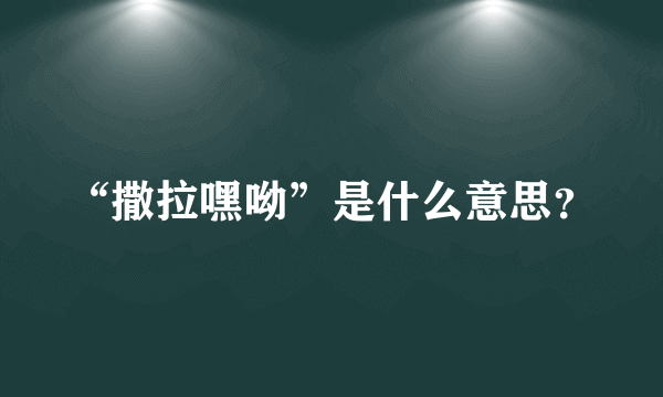 “撒拉嘿呦”是什么意思？