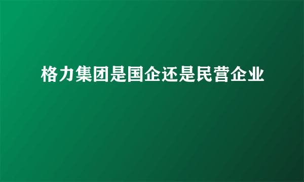 格力集团是国企还是民营企业