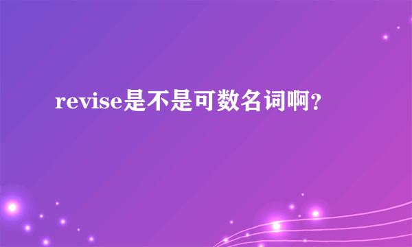 revise是不是可数名词啊？