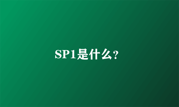 SP1是什么？