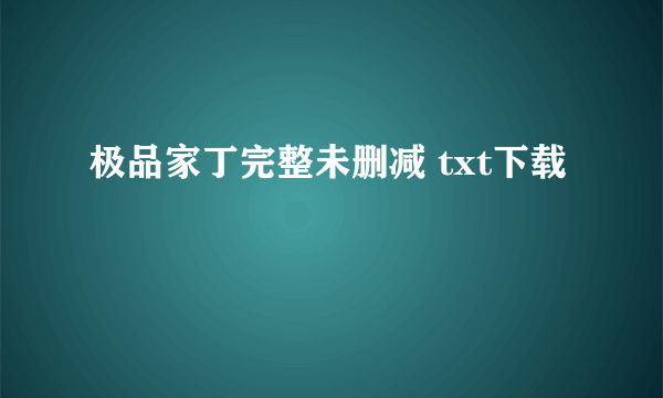 极品家丁完整未删减 txt下载