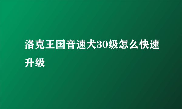 洛克王国音速犬30级怎么快速升级