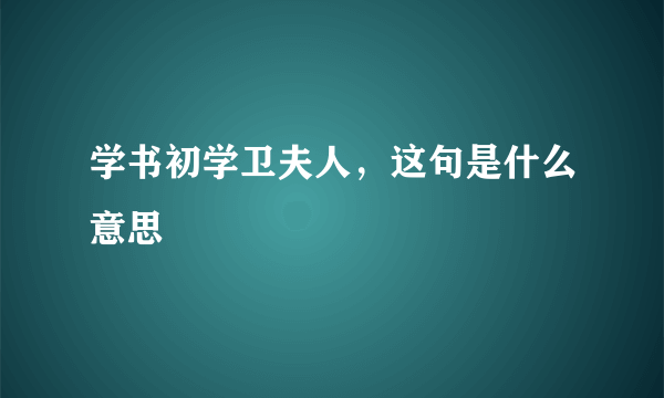 学书初学卫夫人，这句是什么意思