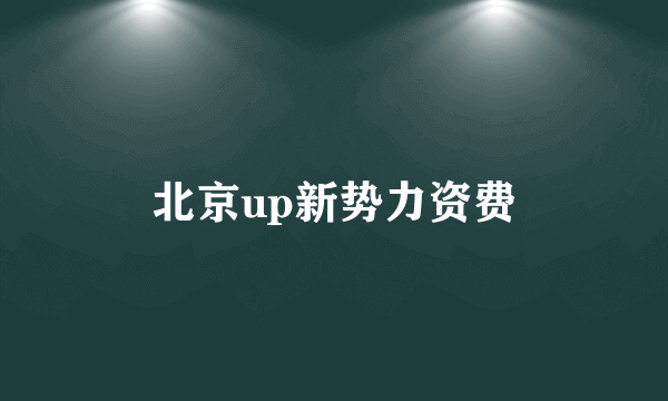 北京up新势力资费