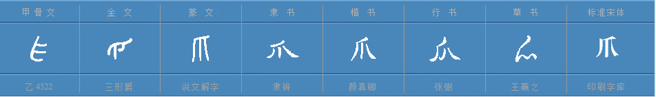 爪字组词