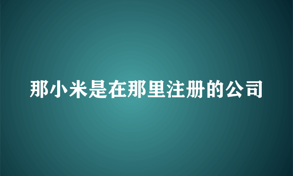 那小米是在那里注册的公司