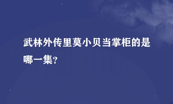 武林外传里莫小贝当掌柜的是哪一集？