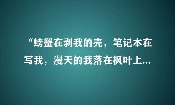 “螃蟹在剥我的壳，笔记本在写我，漫天的我落在枫叶上雪花上，而你在想我”是什么意思？