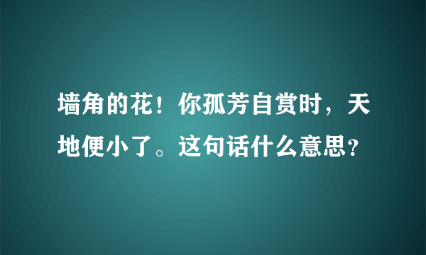 墙角的花！你孤芳自赏时，天地便小了。这句话什么意思？