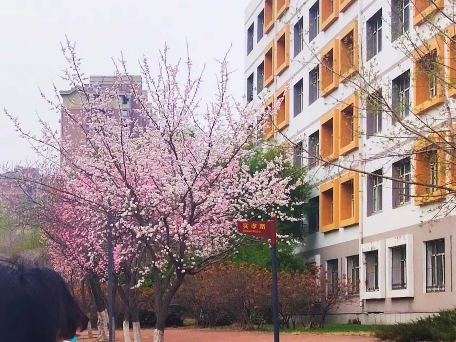 吉林财经大学怎么样