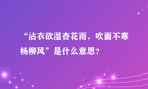 “沾衣欲湿杏花雨，吹面不寒杨柳风”是什么意思？