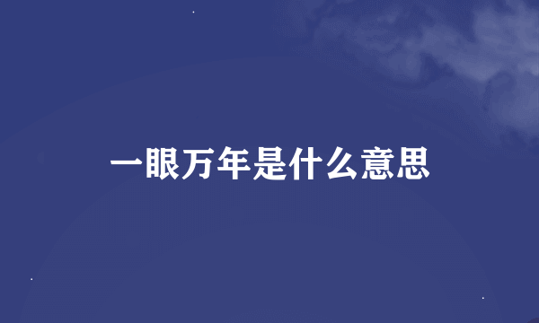 一眼万年是什么意思