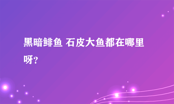 黑暗鲱鱼 石皮大鱼都在哪里呀？