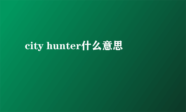 city hunter什么意思