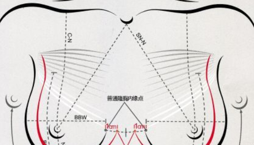 胸围计算公式