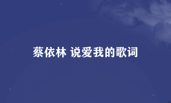 蔡依林 说爱我的歌词