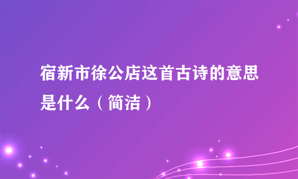 宿新市徐公店这首古诗的意思是什么（简洁）