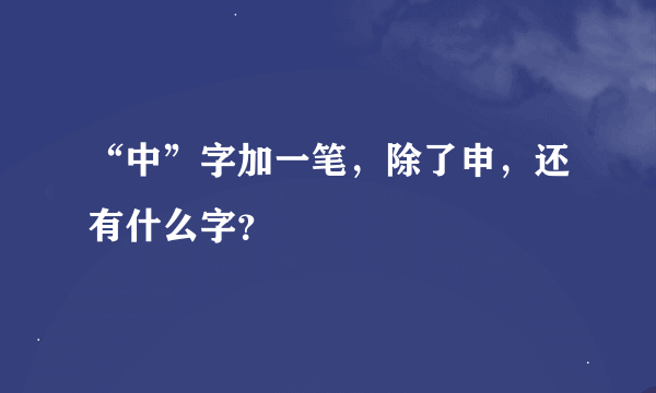 “中”字加一笔，除了申，还有什么字？