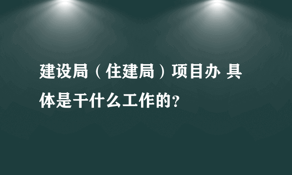 建设局（住建局）项目办 具体是干什么工作的？