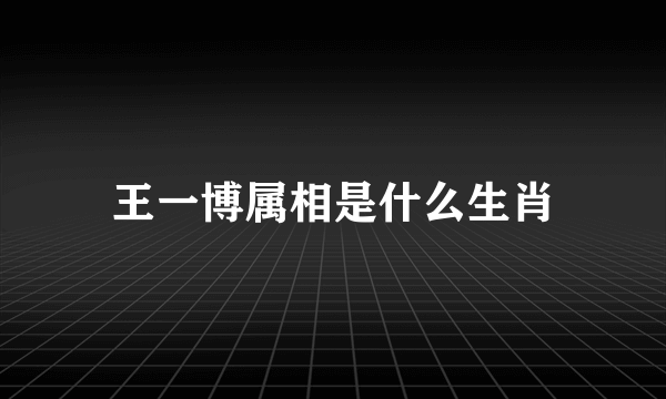 王一博属相是什么生肖