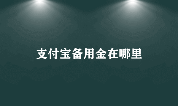 支付宝备用金在哪里