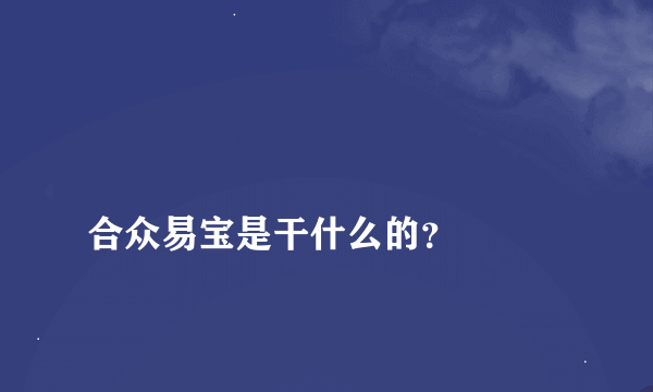 
合众易宝是干什么的？

