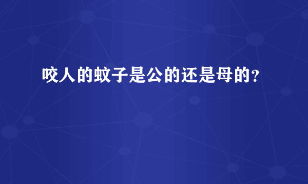 咬人的蚊子是公的还是母的？