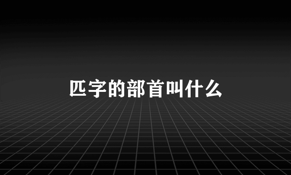 匹字的部首叫什么