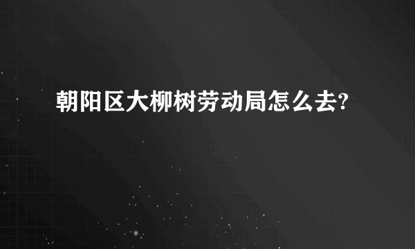 朝阳区大柳树劳动局怎么去?