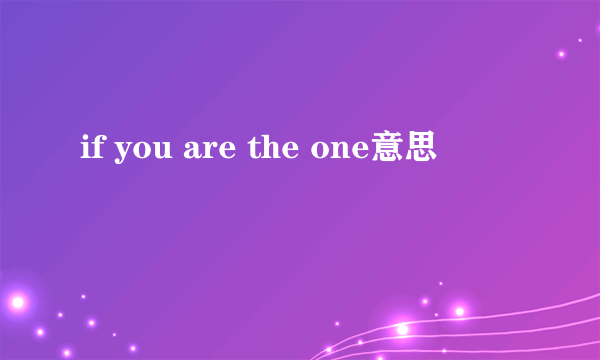 if you are the one意思