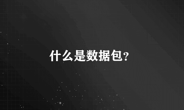 什么是数据包？