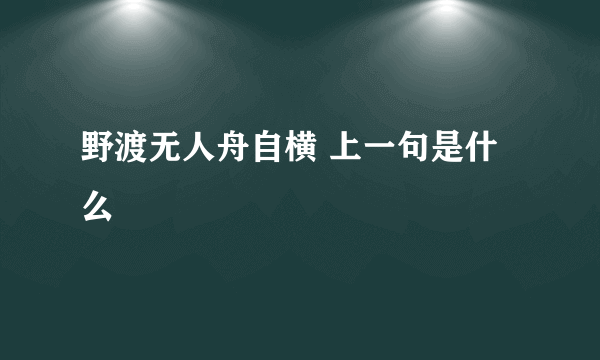 野渡无人舟自横 上一句是什么