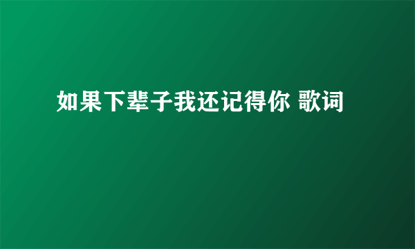 如果下辈子我还记得你 歌词