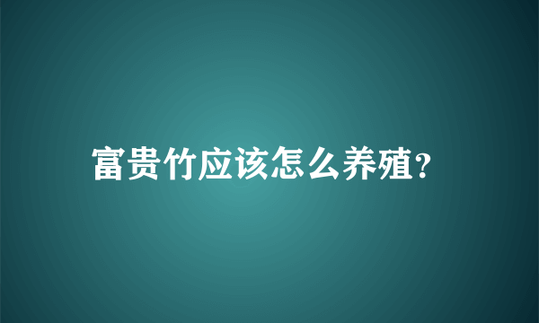 富贵竹应该怎么养殖？