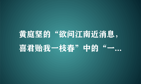 黄庭坚的“欲问江南近消息，喜君贻我一枝春”中的“一枝春”指的是