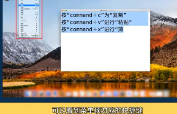 苹果电脑复制粘贴的快捷键